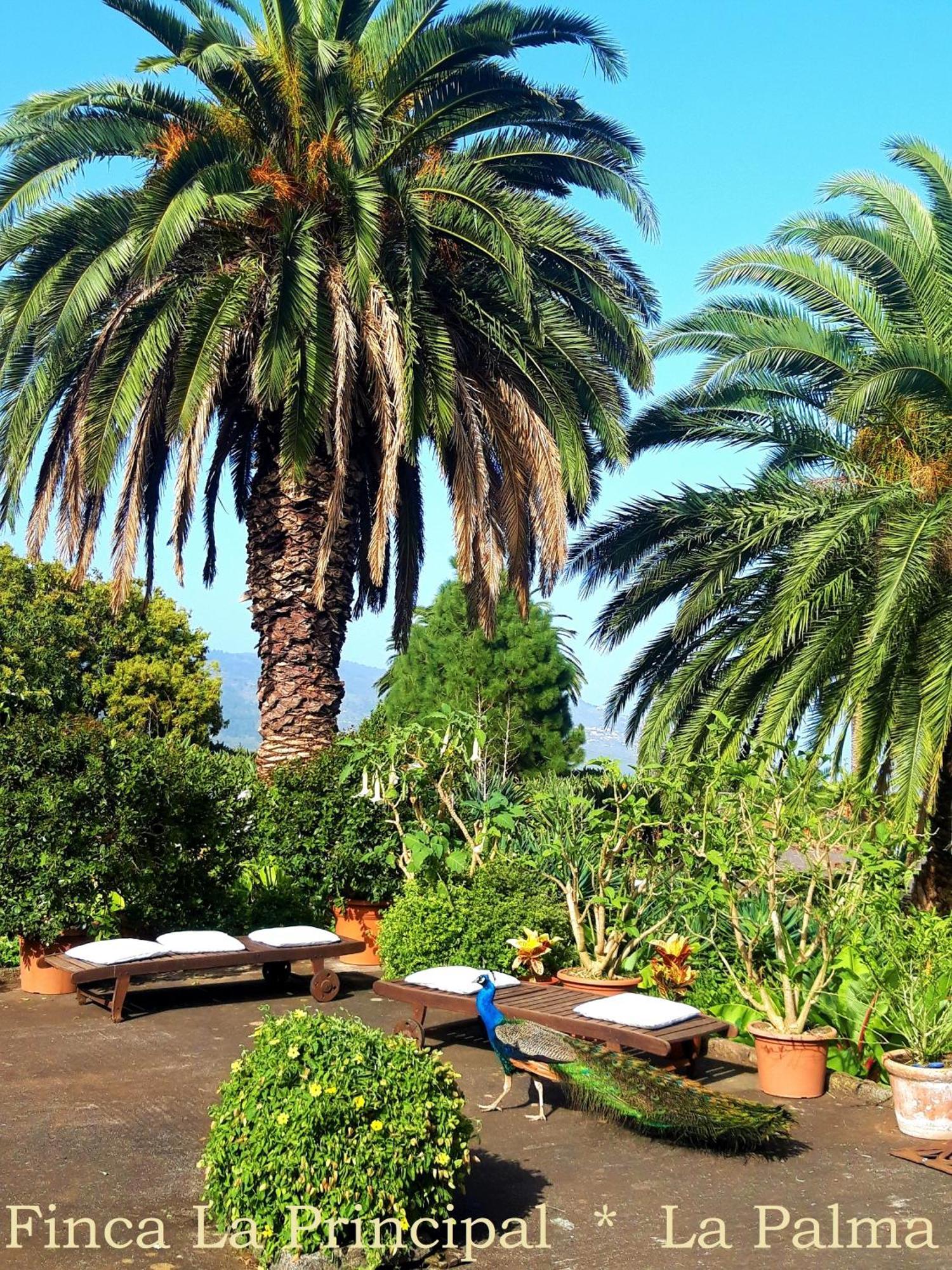 Finca La Principal Breña Alta Kültér fotó