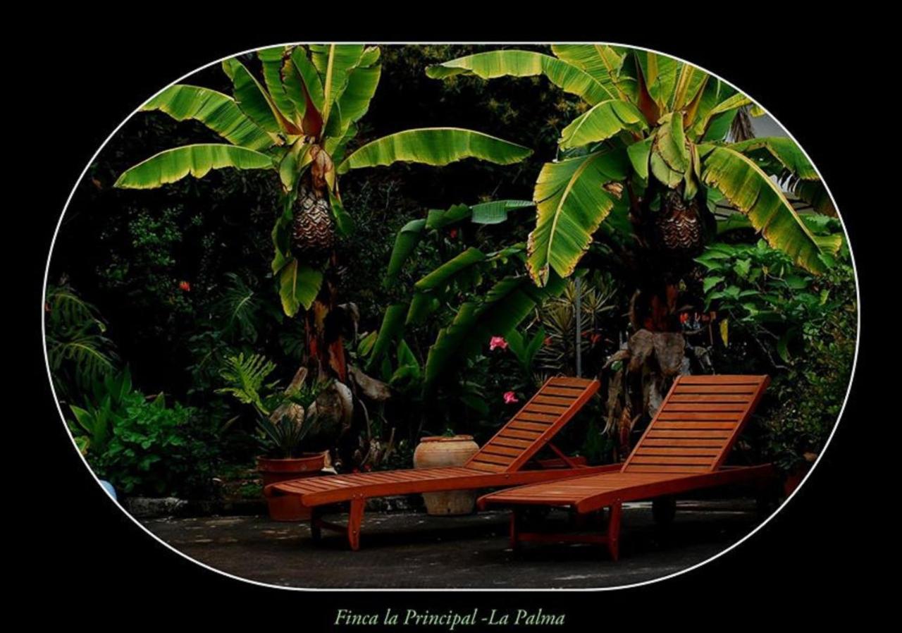 Finca La Principal Breña Alta Kültér fotó
