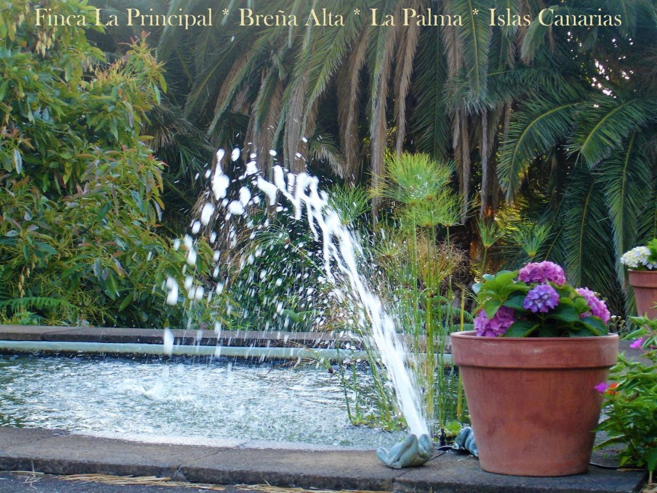 Finca La Principal Breña Alta Kültér fotó